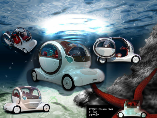 Privo Voiture dans le marin